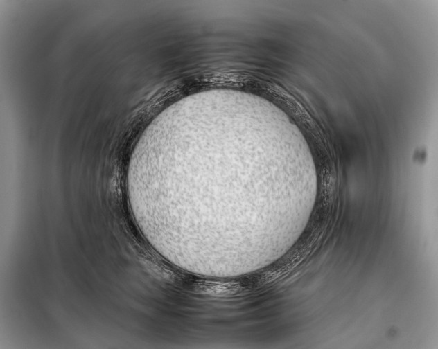 X0000098100663200805021111