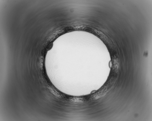 X0000098100664200805021111
