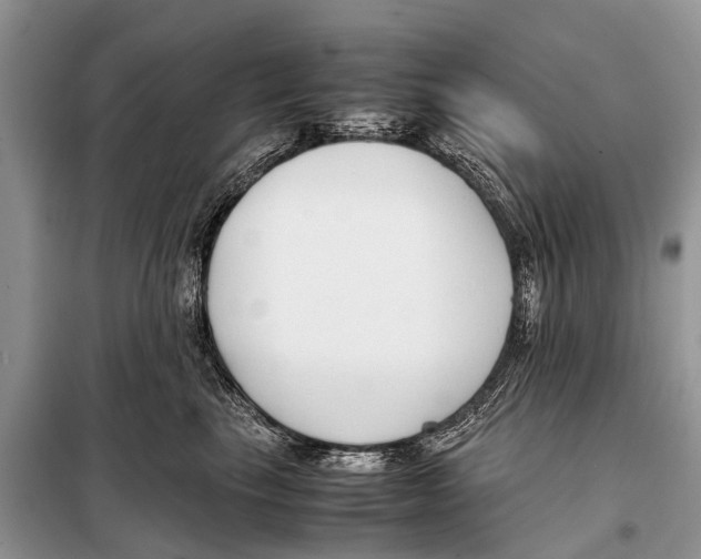 X0000098100665200805021111