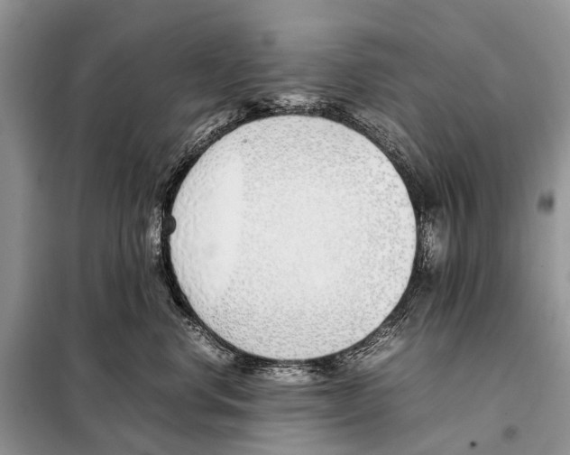X0000098100668200805021111