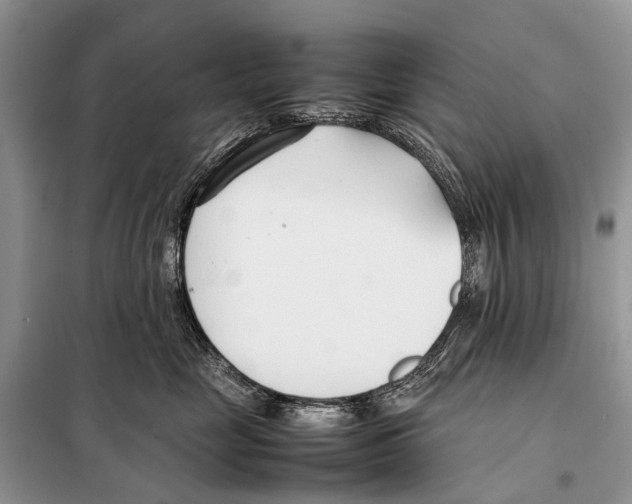 X0000098100669200805021111