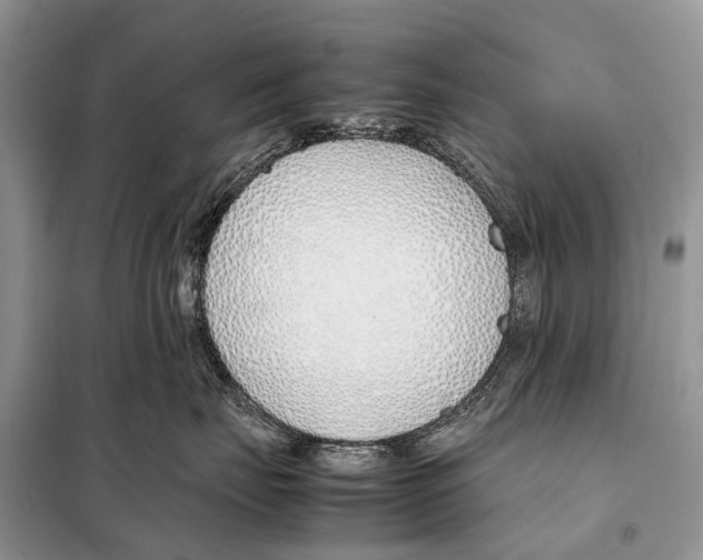 X0000098100671200805021111