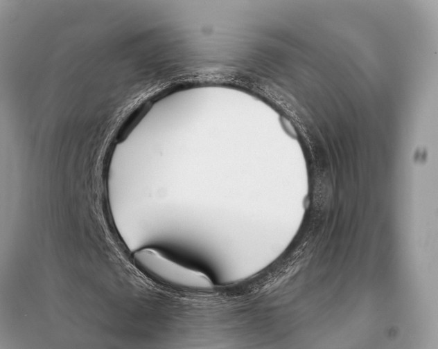 X0000098100673200805021110