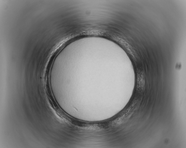 X0000098100674200805021110