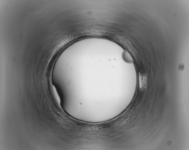 X0000098100675200805021110