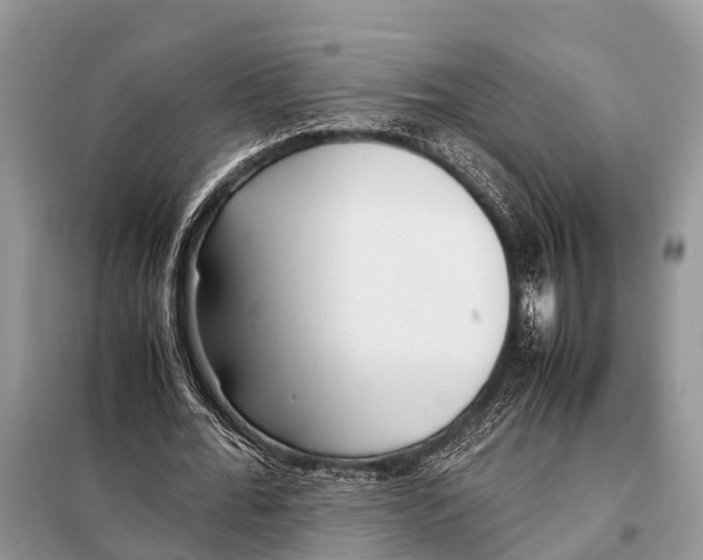 X0000098100676200805021110