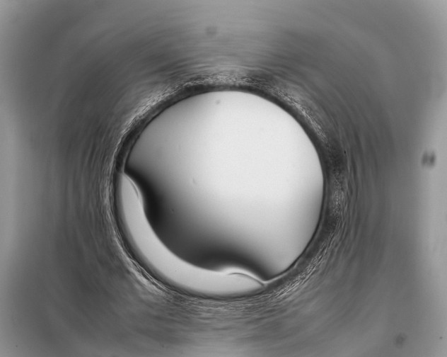 X0000098100677200805021110