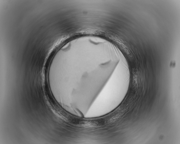 X0000098100678200805021110