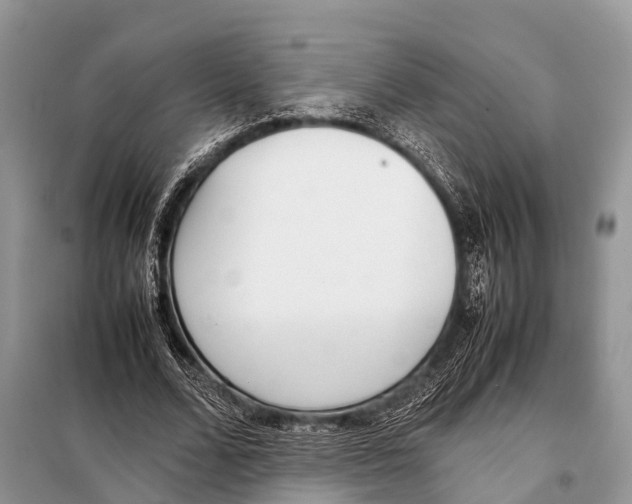 X0000098100680200805021110