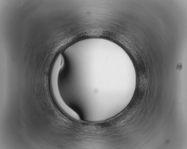 X0000098100681200805021110