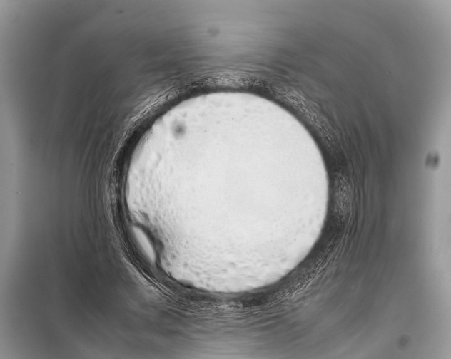 X0000098100683200805021110