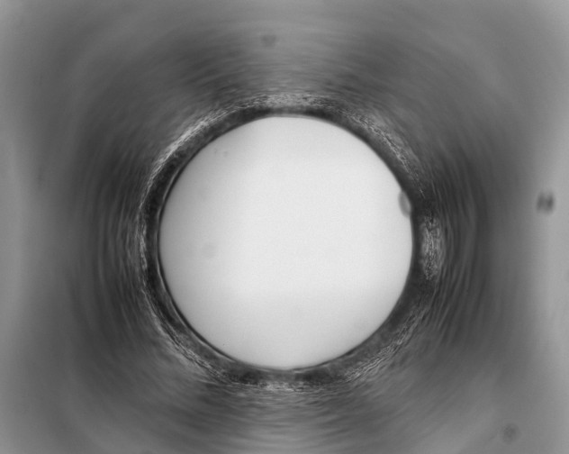 X0000098100684200805021110