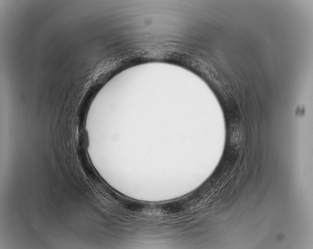 X0000098100685200805021110