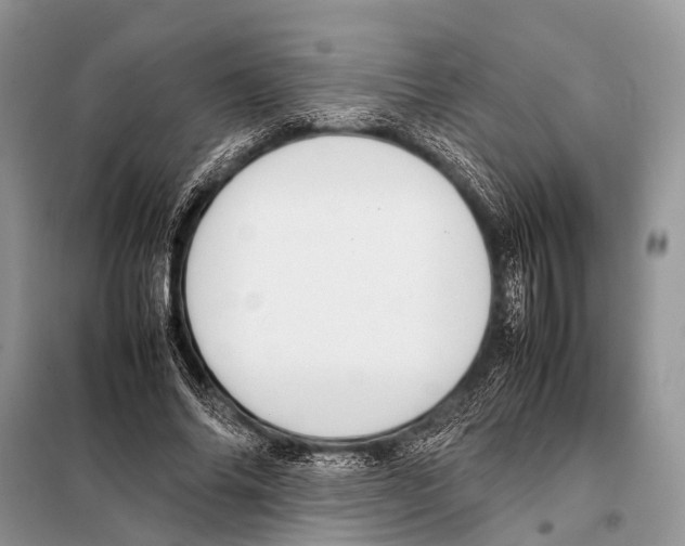X0000098100686200805021110