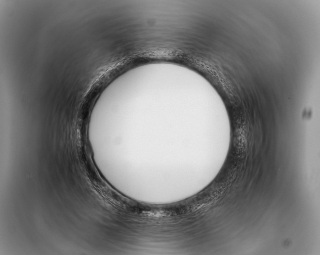 X0000098100688200805021110
