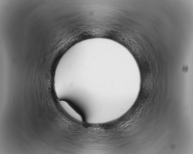 X0000098100689200805021110