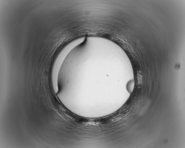 X0000098100691200805021110