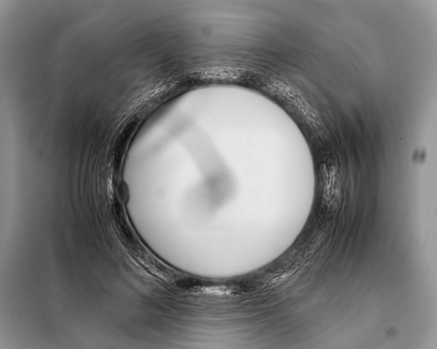 X0000098100692200805021110