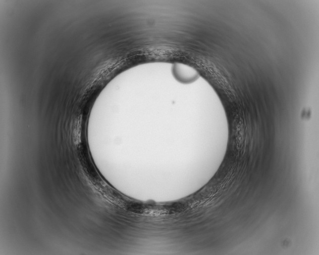 X0000098100694200805021110