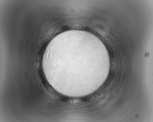 X0000098100695200805021110
