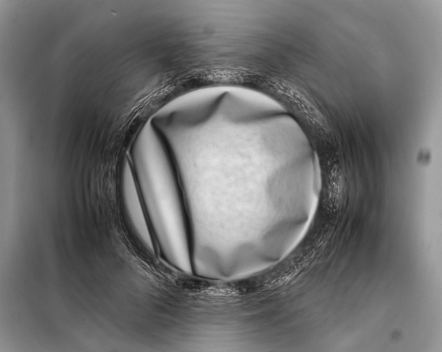 X0000098100696200805021110