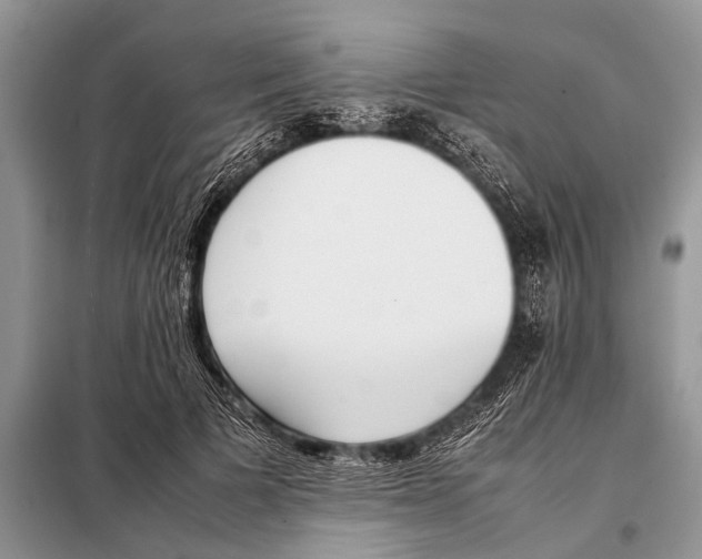 X0000098100697200805021110