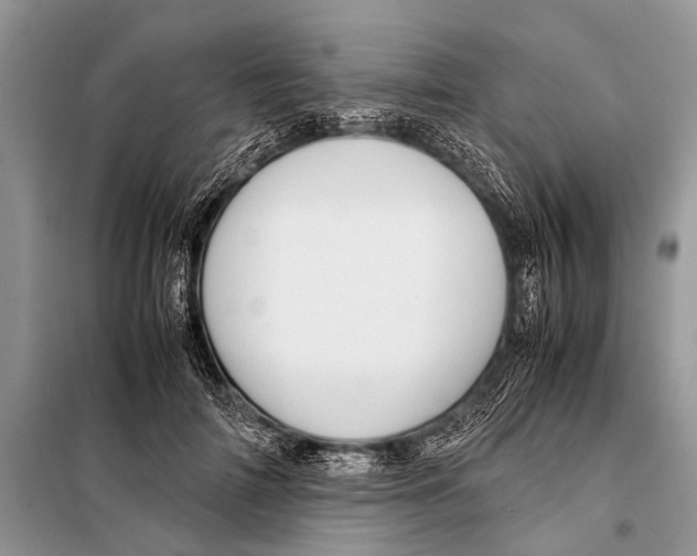 X0000098100698200805021110