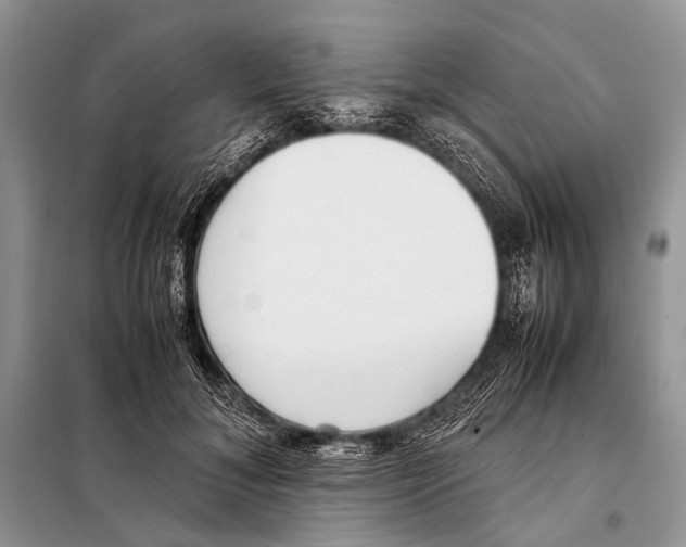 X0000098100700200805021110