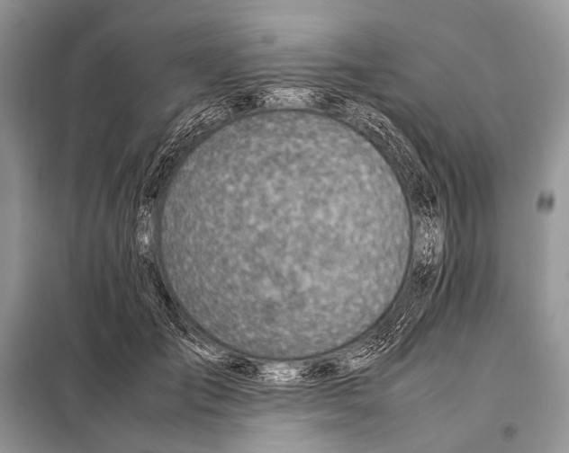 X0000098100701200805021110