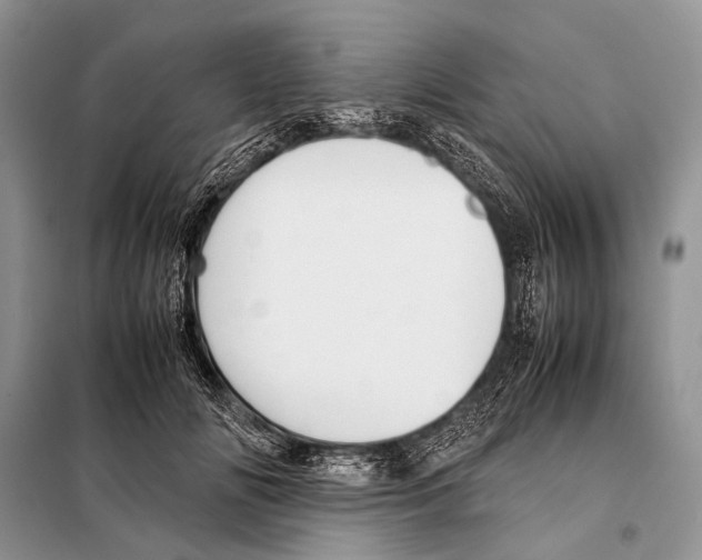 X0000098100702200805021110