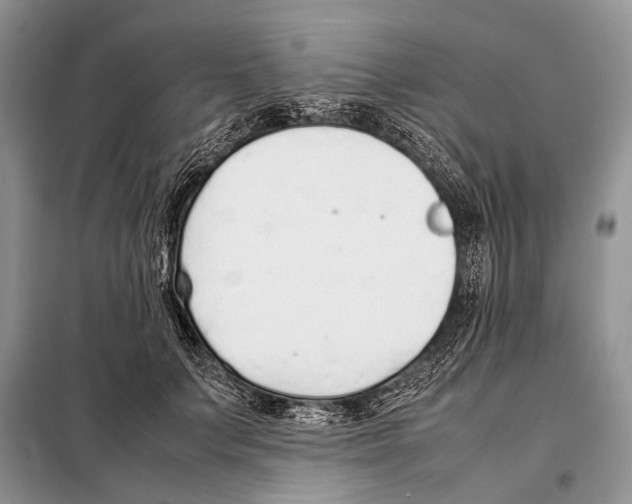 X0000098100703200805021110