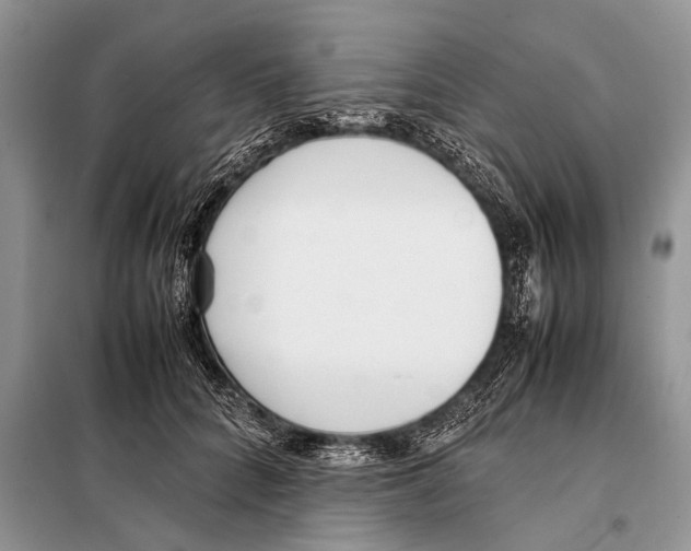 X0000098100704200805021110