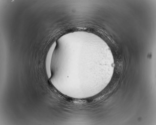 X0000098100707200805021110
