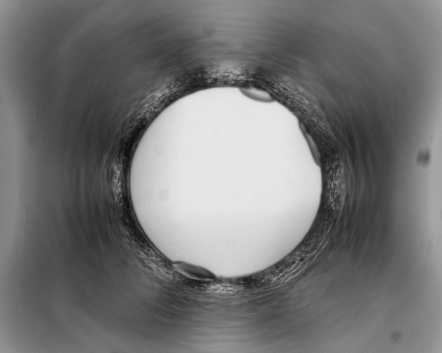 X0000098100708200805021110