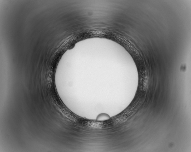 X0000098100710200805021110