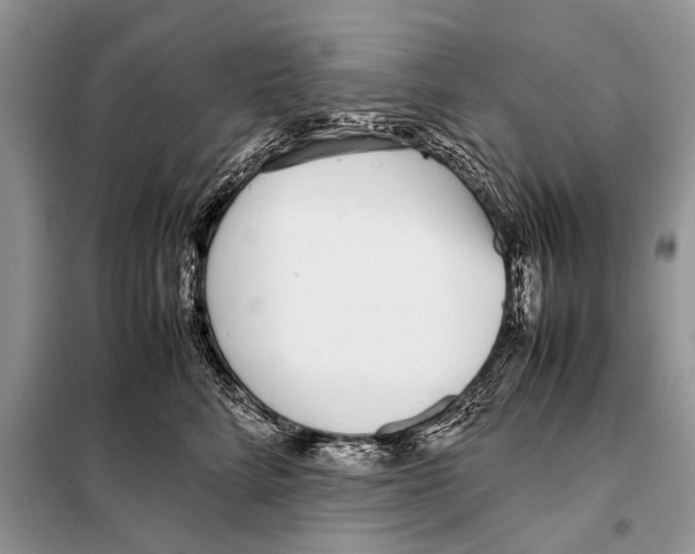 X0000098100712200805021109