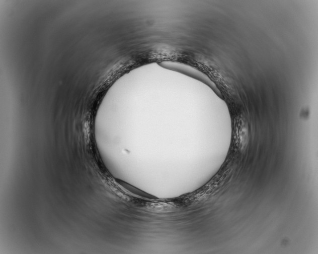 X0000098100716200805021109