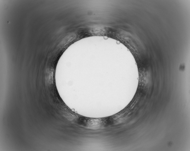 X0000098100717200805021109