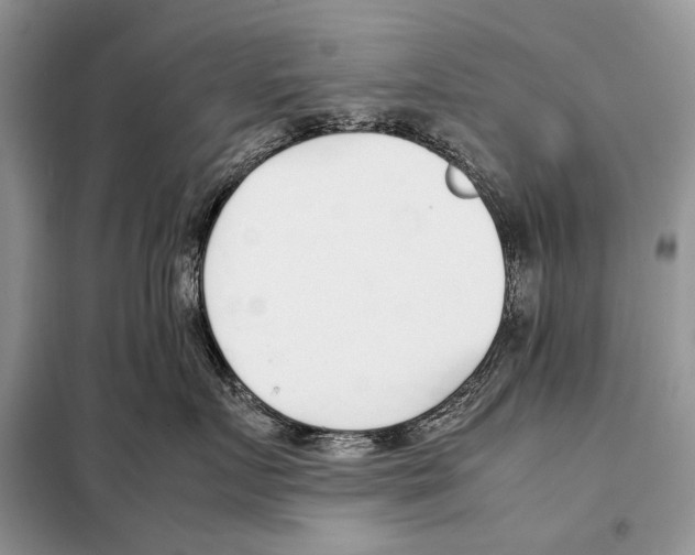 X0000098100719200805021109