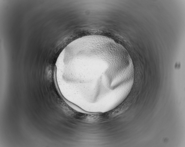 X0000098100720200805021109