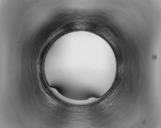 X0000098100722200805021109