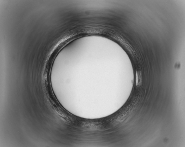 X0000098100723200805021109