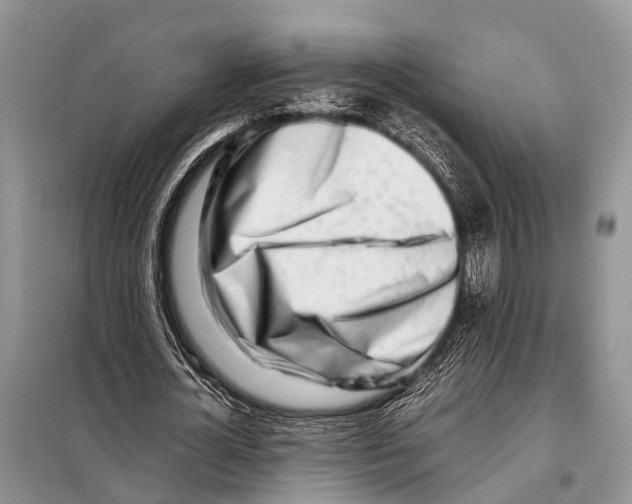 X0000098100724200805021109