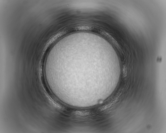 X0000098100725200805021109