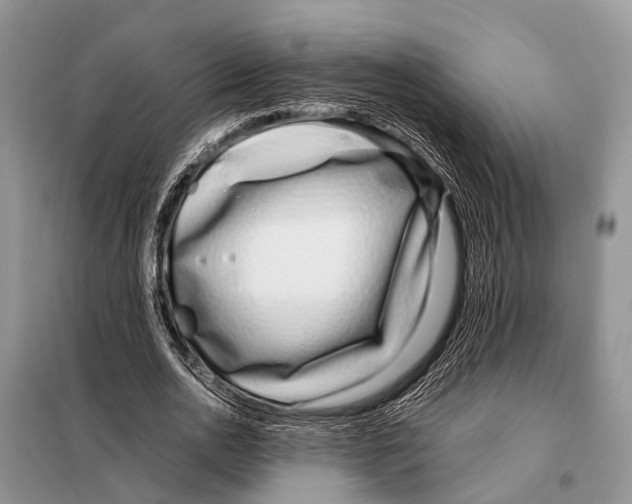 X0000098100726200805021109