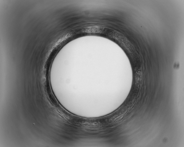 X0000098100727200805021109