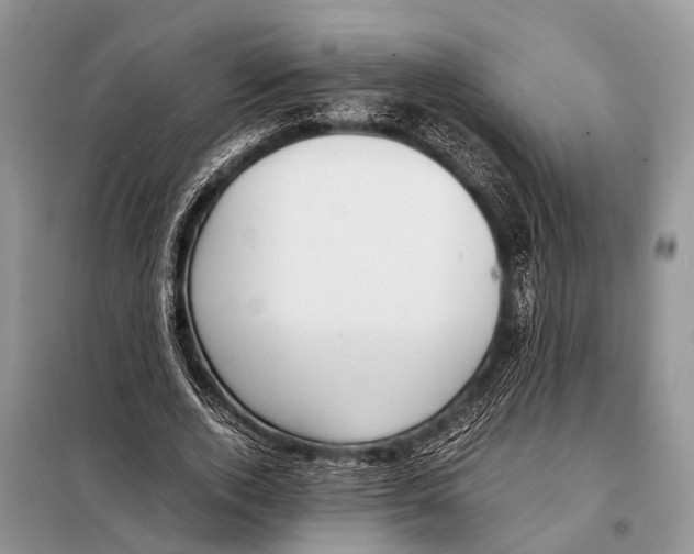 X0000098100728200805021109
