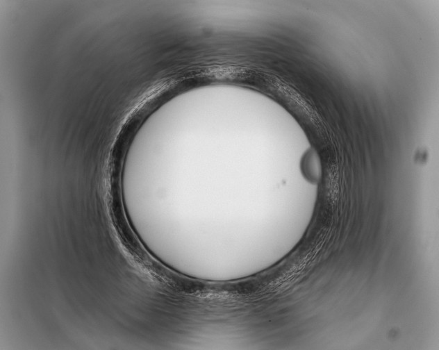 X0000098100730200805021109
