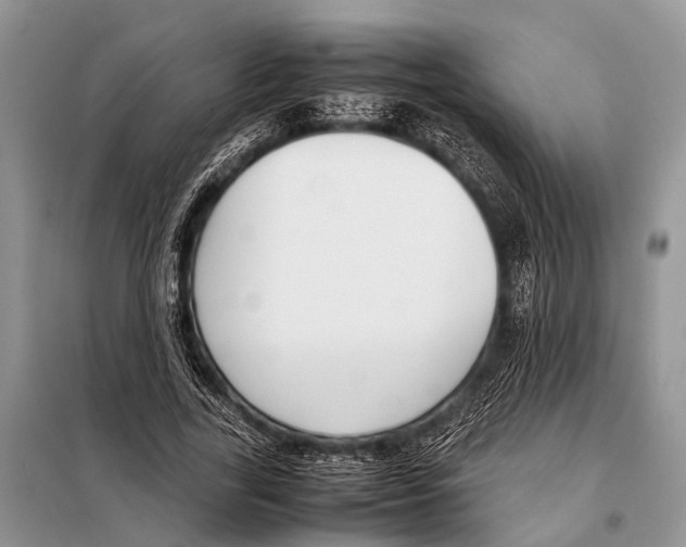 X0000098100731200805021109