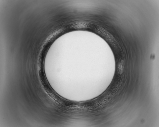 X0000098100732200805021109